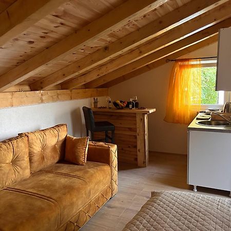 Apartments Javorje Zabljak Extérieur photo