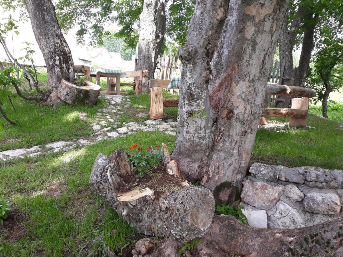 Apartments Javorje Zabljak Extérieur photo