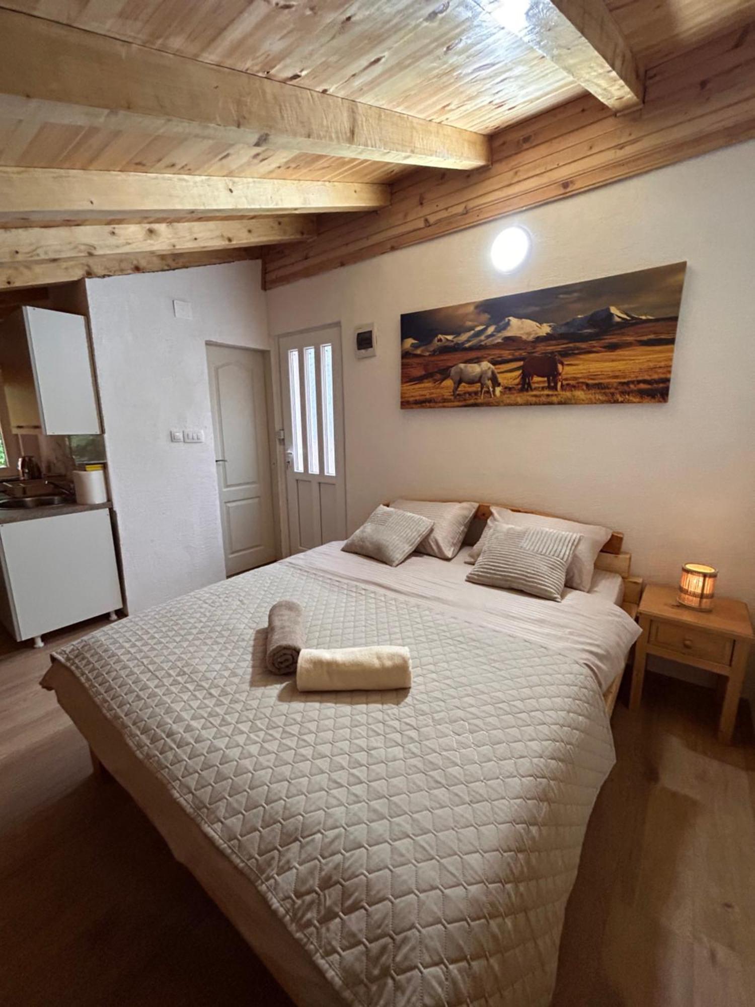 Apartments Javorje Zabljak Extérieur photo