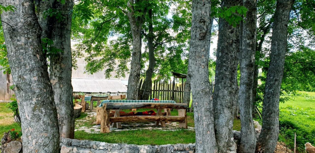 Apartments Javorje Zabljak Extérieur photo