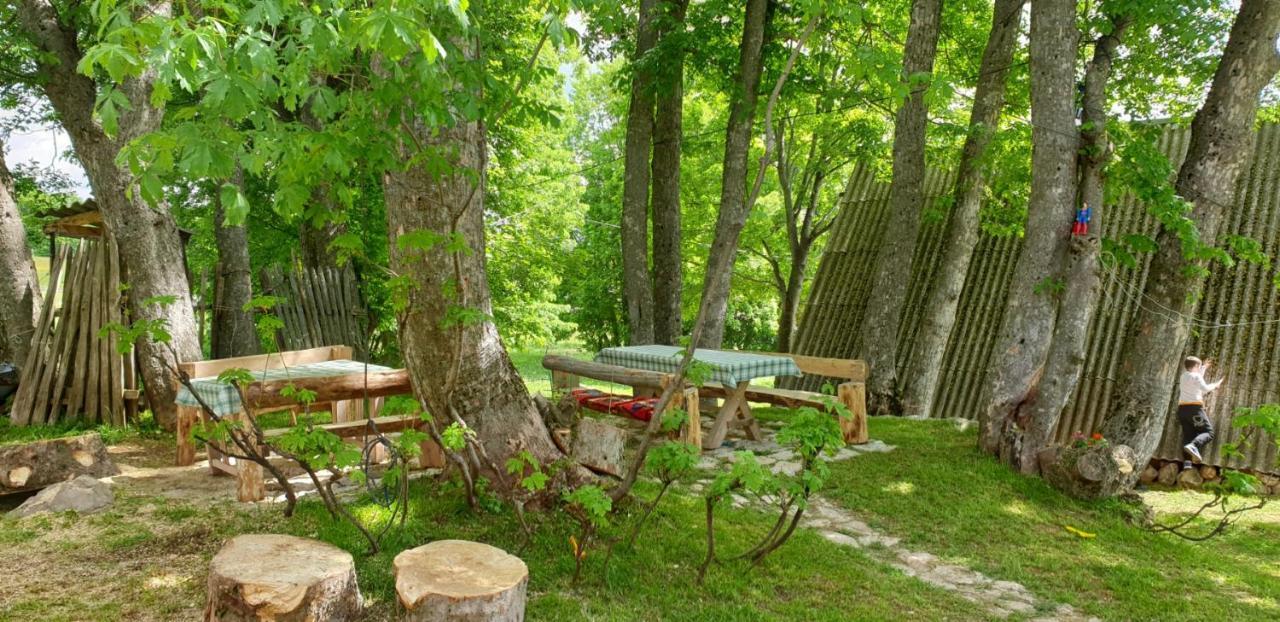 Apartments Javorje Zabljak Extérieur photo